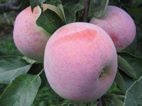 IMG_0304.jpg