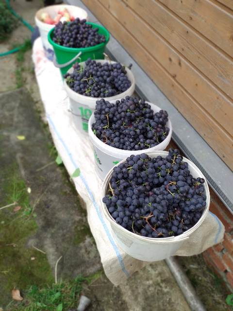 IMG-20190822-WA0002.jpg