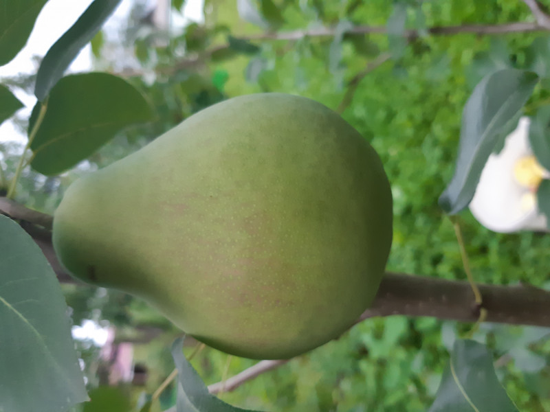 20190814_183009[1].jpg