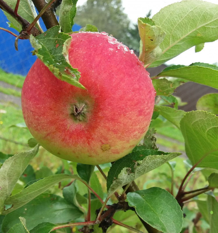 20190824_094919.jpg