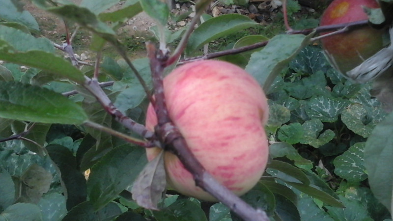 20190816_165316.jpg