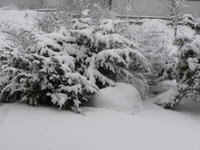 P1020139.JPG