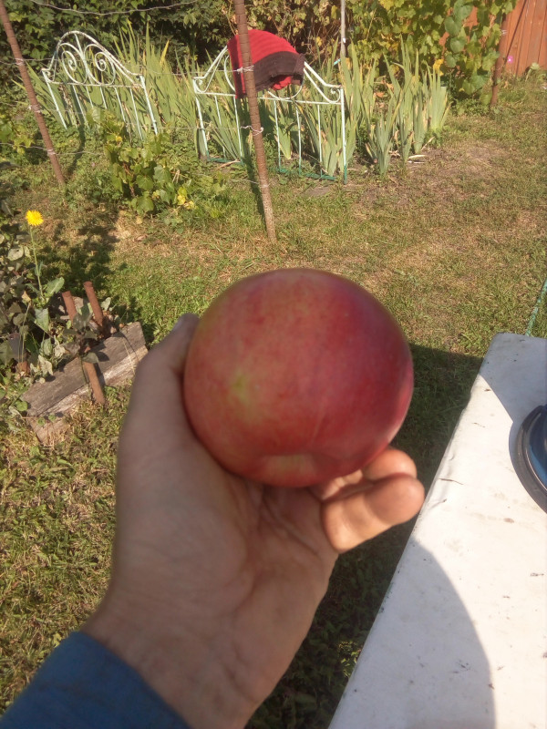 IMG_20190901_091822.jpg