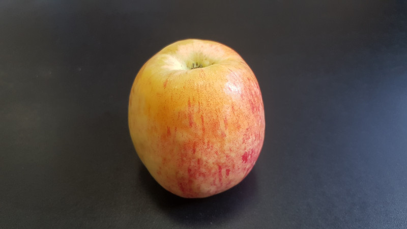 20190902_092557.jpg