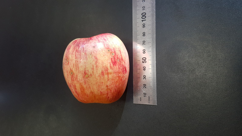 20190902_094926.jpg