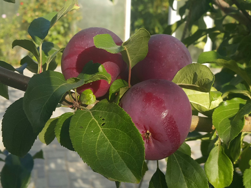 2019-09-05 22.39.46.jpg