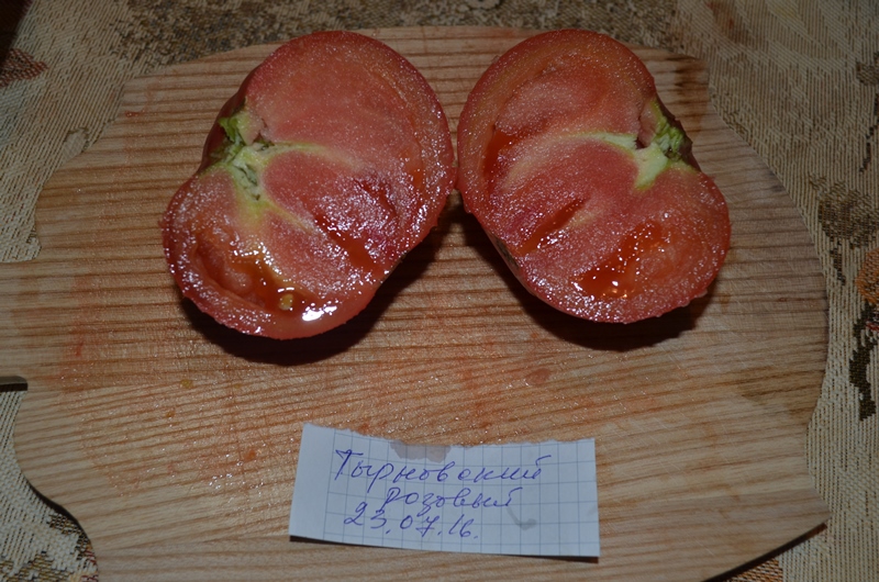 Тырновский розовый 3.jpg