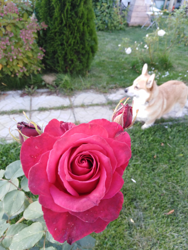 IMG_20190908_174637.jpg