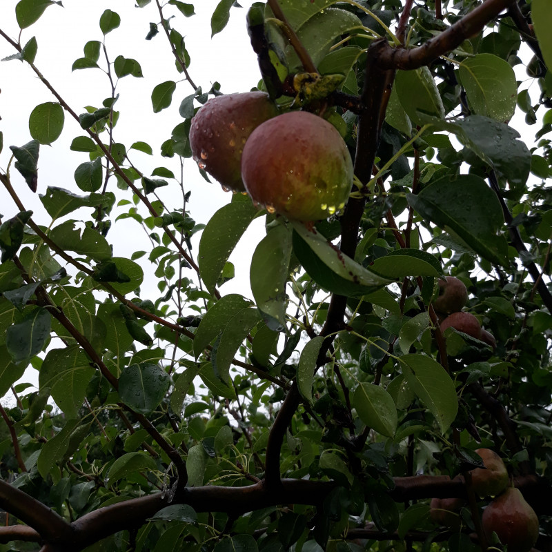 20190726_161947.jpg