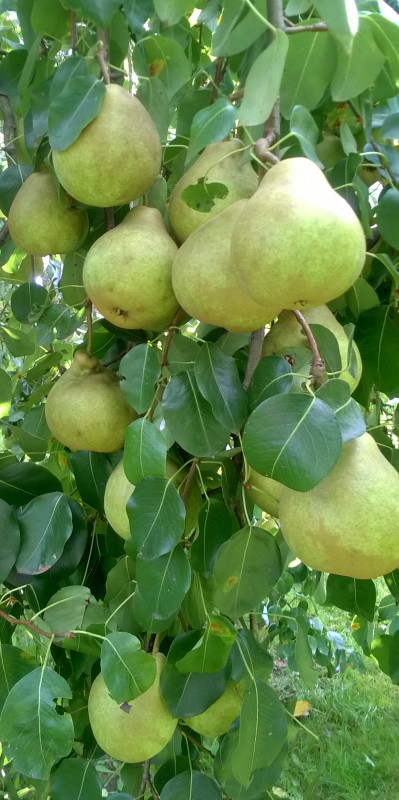 WP_20190914_15_27_48_Pro.jpg