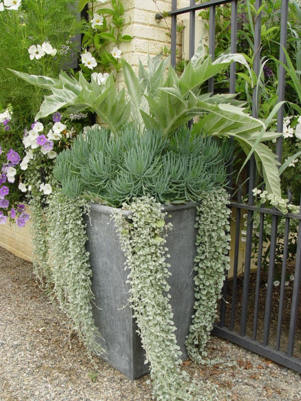 ee75a108bbc07c3fecc21a6fac78b1ee--container-design-garden-container.jpg