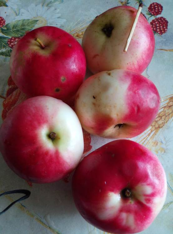 IMG-20190920-WA0000.jpg