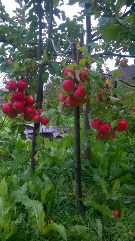 WP_20190921_005.jpg