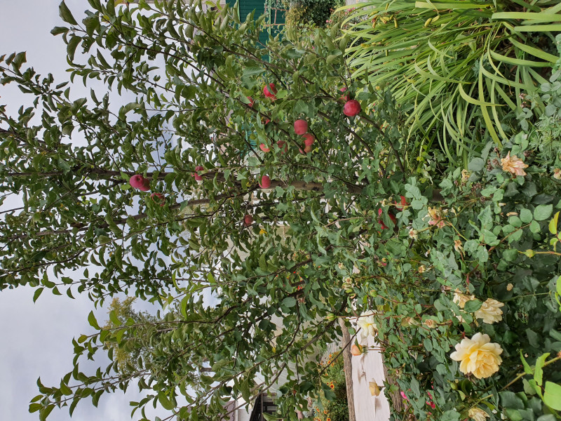20190922_150720.jpg