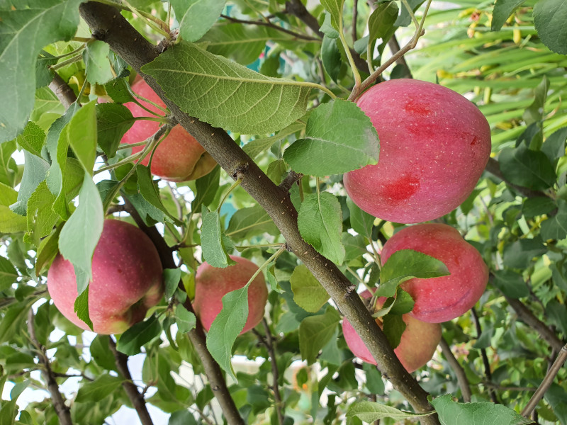 20190922_150755.jpg
