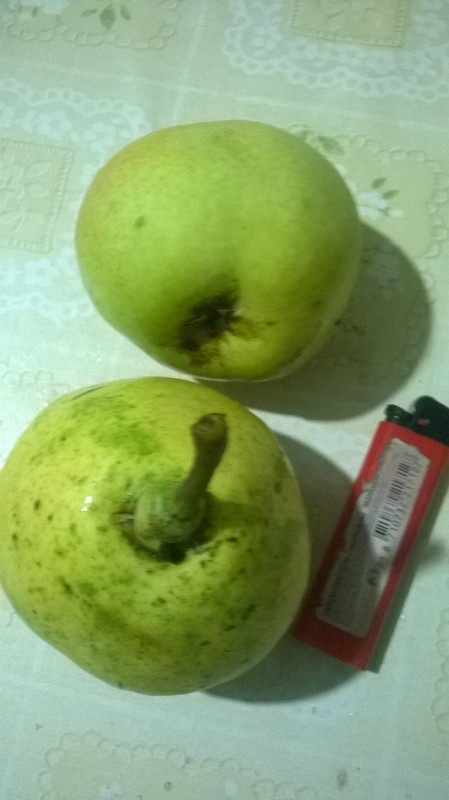WP_20190928_008.jpg