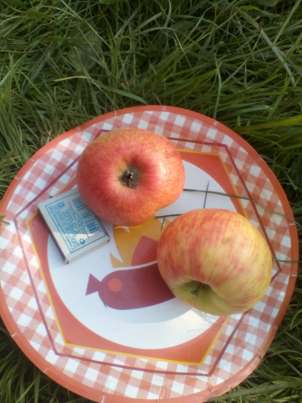 Хоней крисп 2019 002.jpg