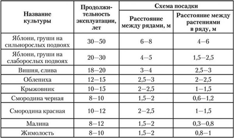 img1_54.png
