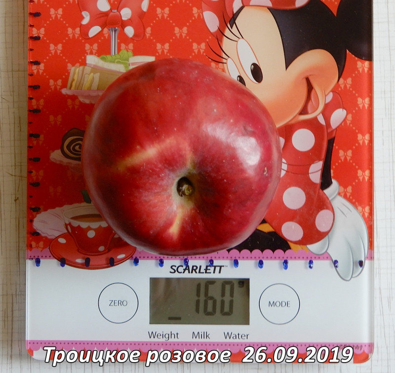 Троицкое розовое  02.09.19.jpg