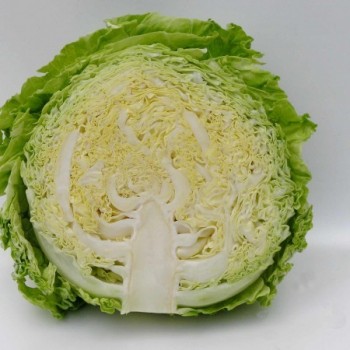 673_Salima-internal.jpg