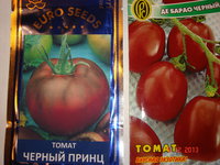 DSC08140.JPG