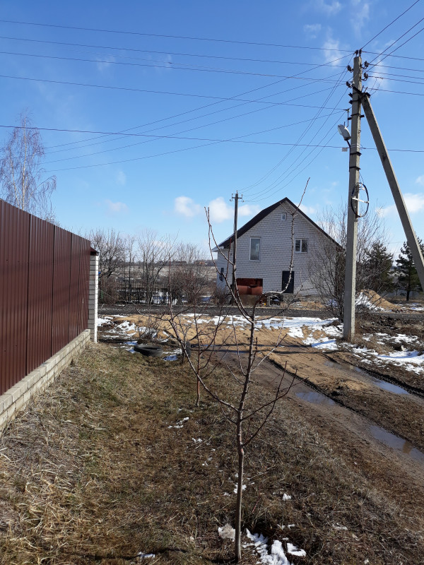20190323_120906.jpg