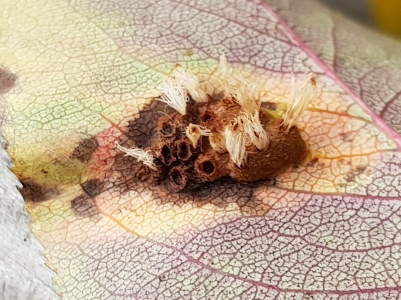 20191002_161256_.jpg