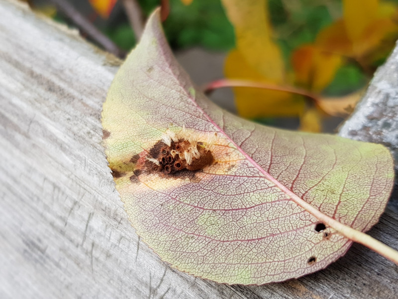 20191002_161256.jpg