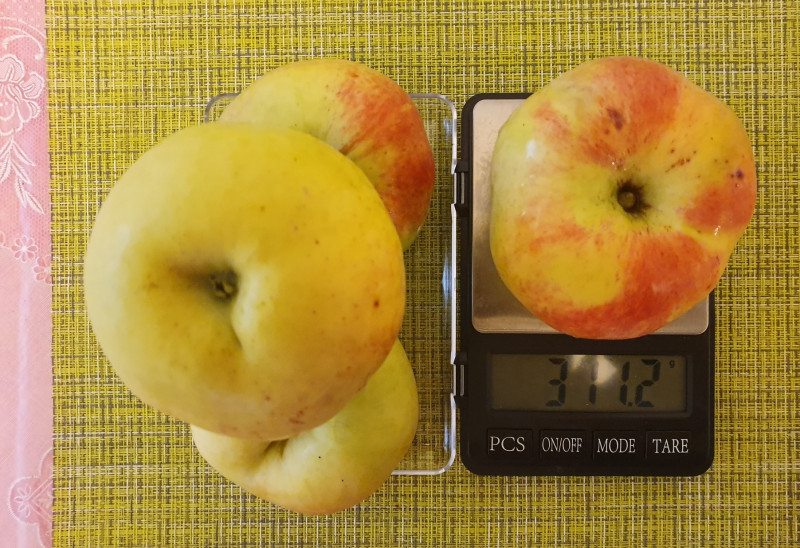 20191006_164327.jpg