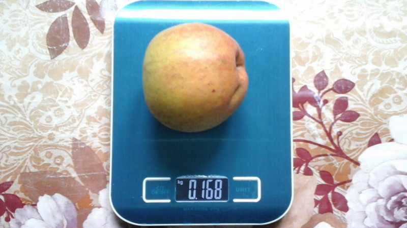 20191008_113459.jpg