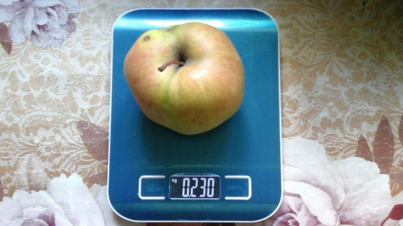 20191008_112938.jpg
