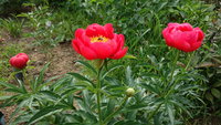 DSC03719.JPG