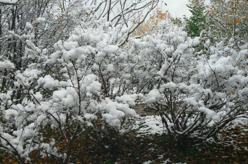 P1470355.JPG