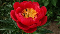 DSC03723.JPG