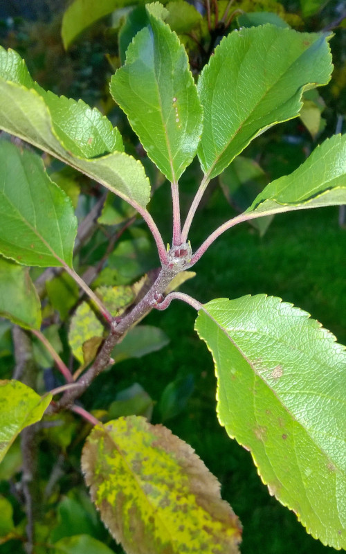 WP_20191014_18_24_15_Pro.jpg