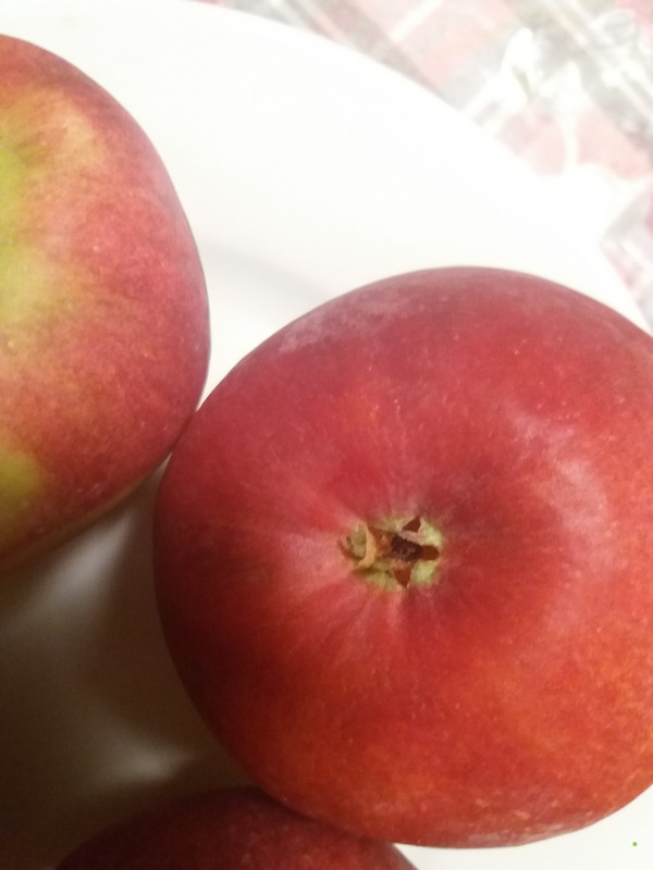 20191014_231847.jpg