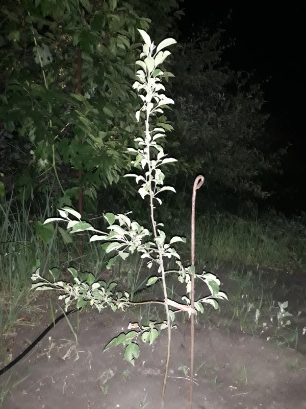 20190531_235747.jpg