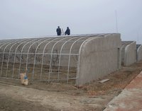 теплица 02.jpg
