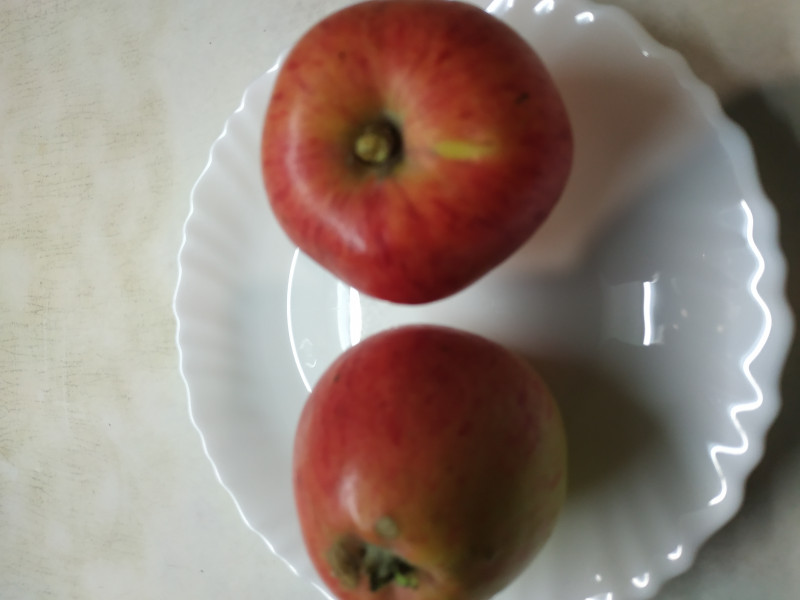 IMG_20191015_055329.jpg