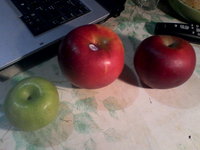 IMG_20131219_111941.jpg