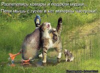 original (2).jpg