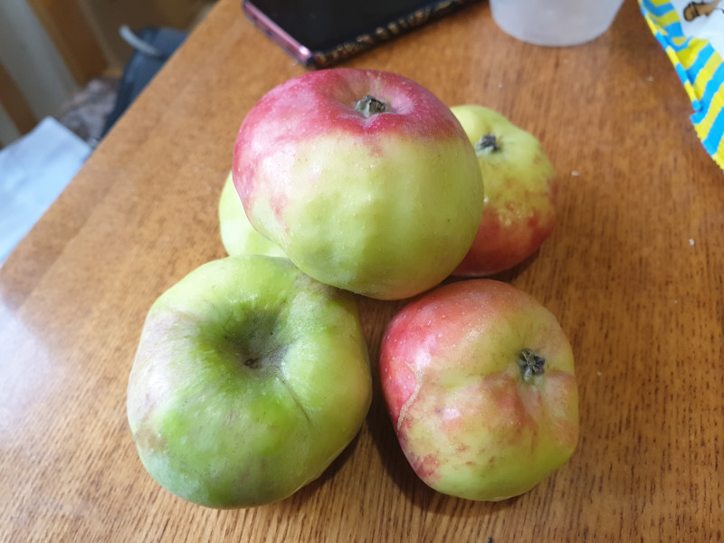 20191020_121217.jpg