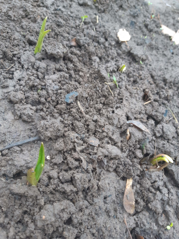 20191019_094303-min.jpg