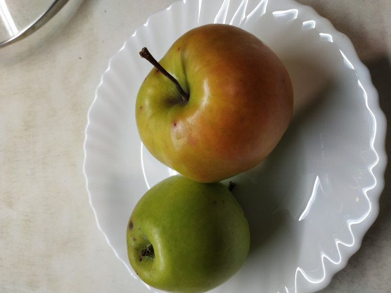 IMG_20191021_201012.jpg