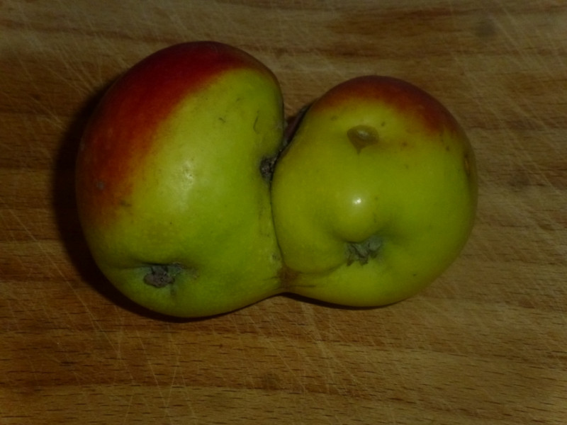P2060900.JPG