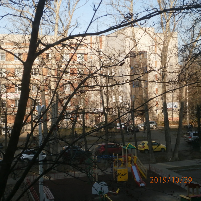 PA293996.JPG