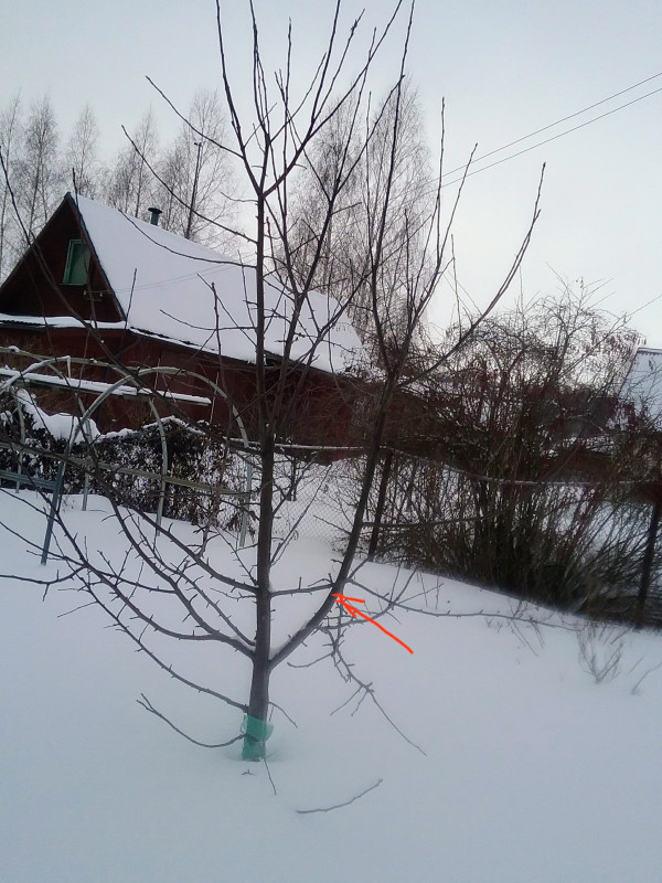 20190304_122514~2.jpg