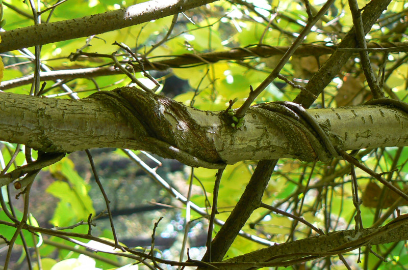 P1050671.JPG