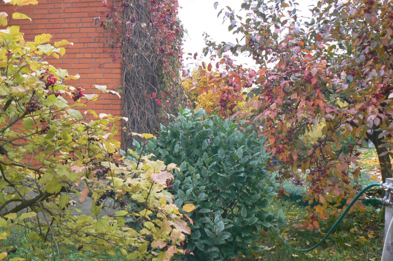 P1470337.JPG