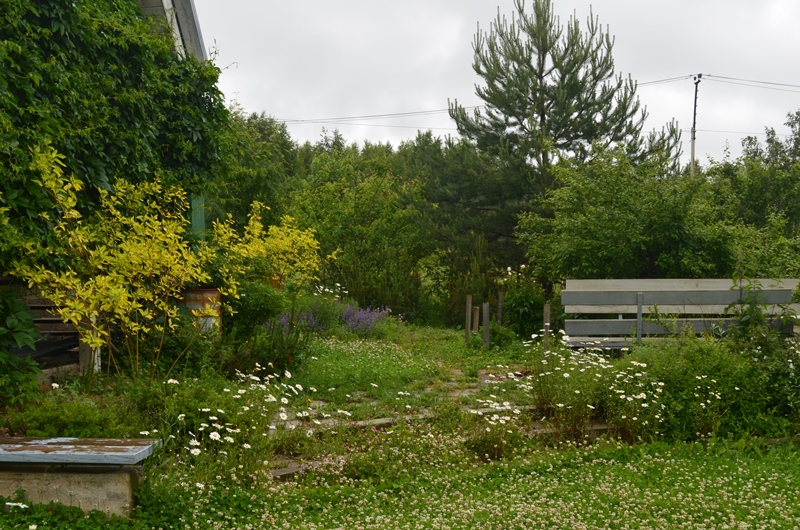 DSC_0107.jpg